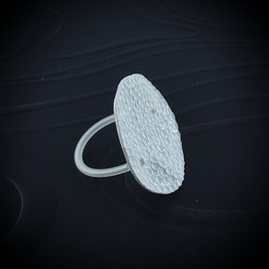 Anello Nuvola grande